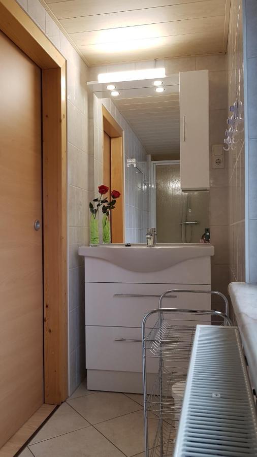 Ferienwohnung Berndt Oberweißbach Kültér fotó